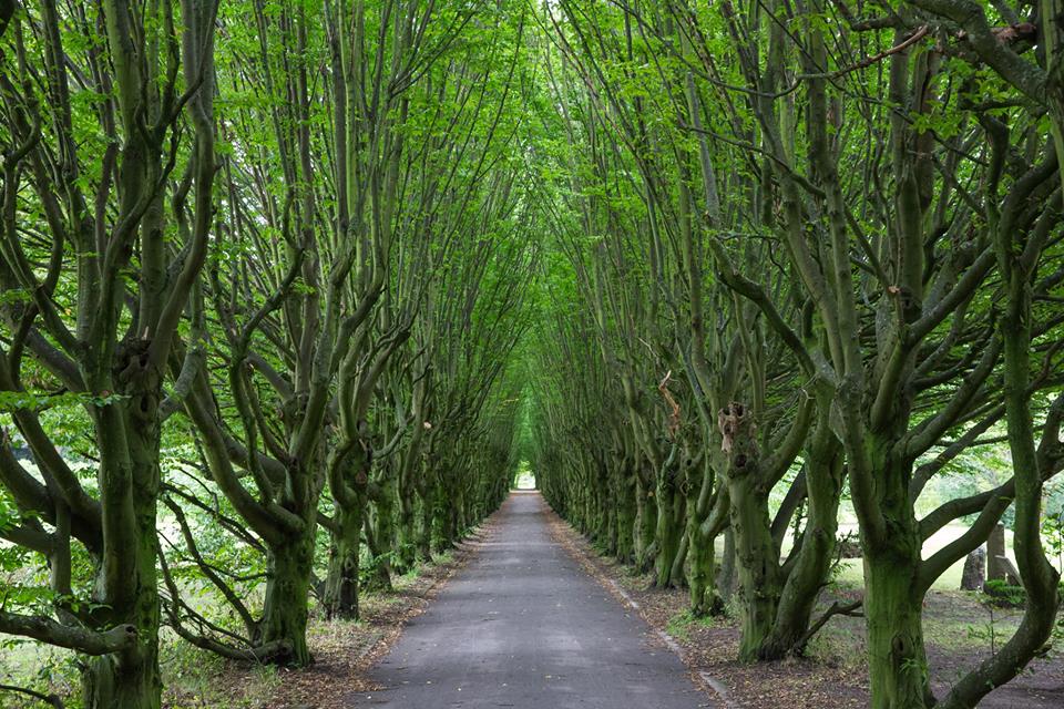 Green City: Copenhagen, Denmark