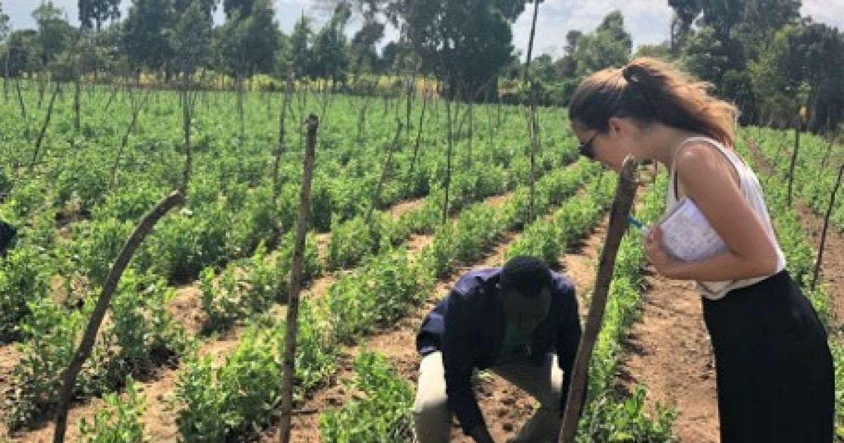 Master thesis abroad image