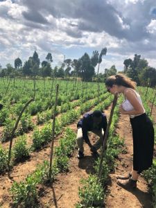 Cbs bachelor thesis image