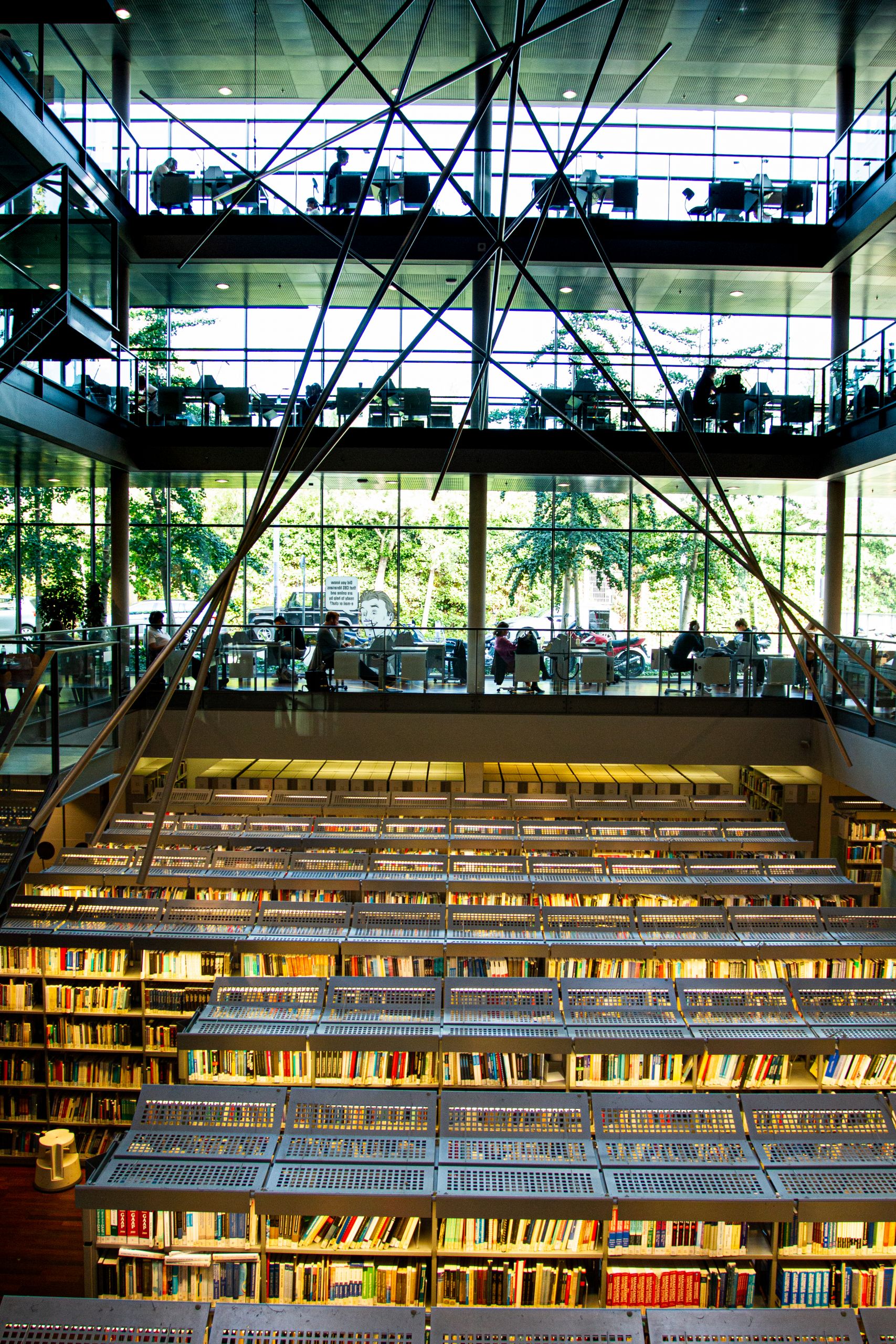 Students studying at library