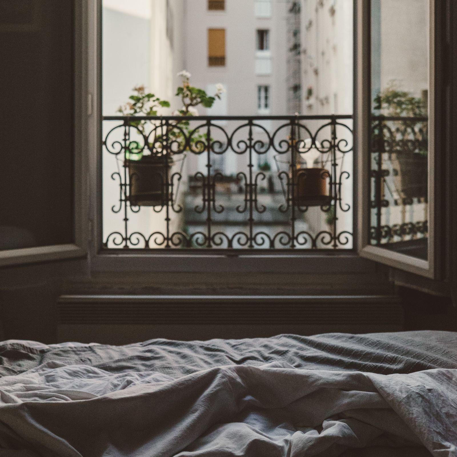 Looking out a double door from a apartment ind Paris