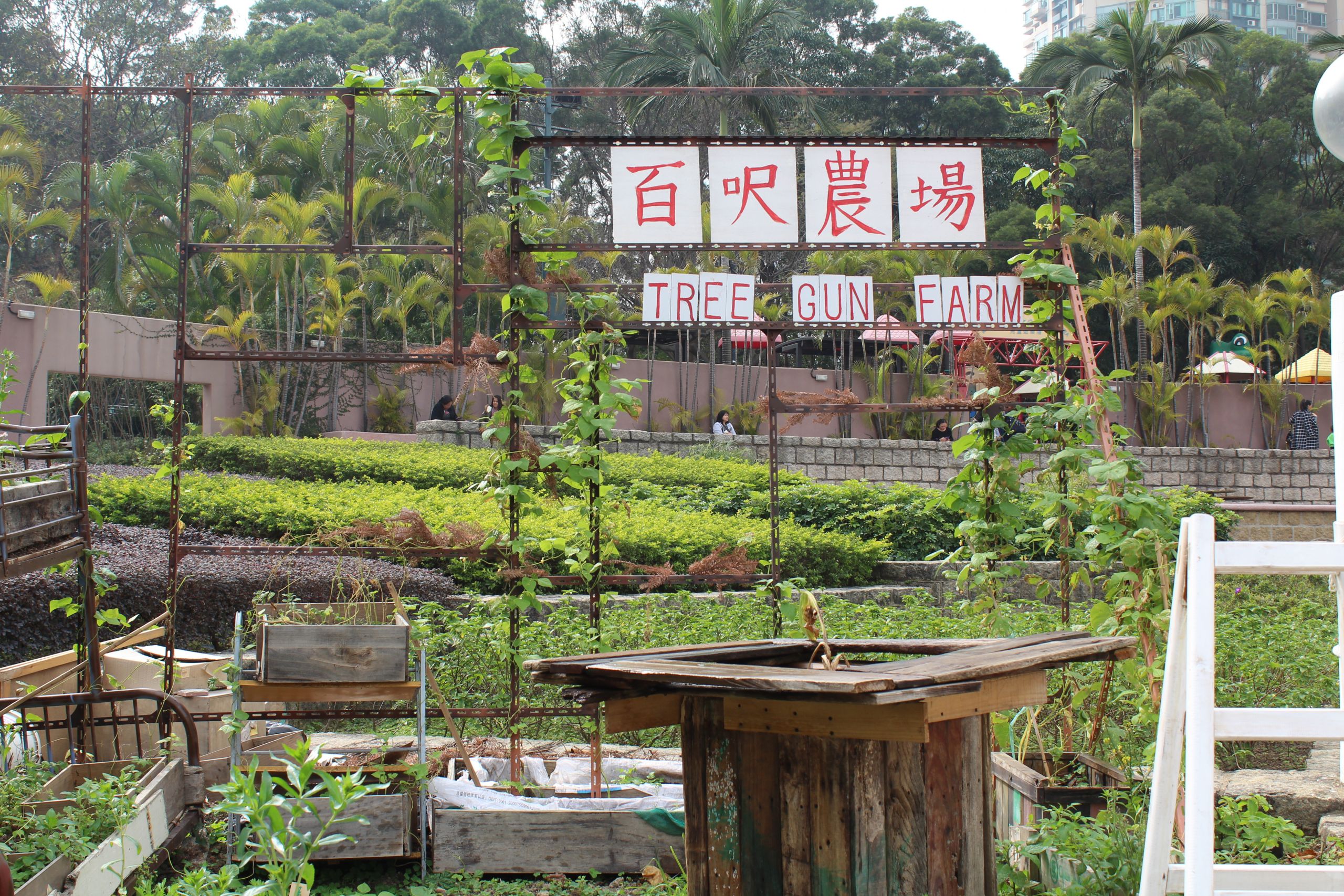 Farm in Hong KOng