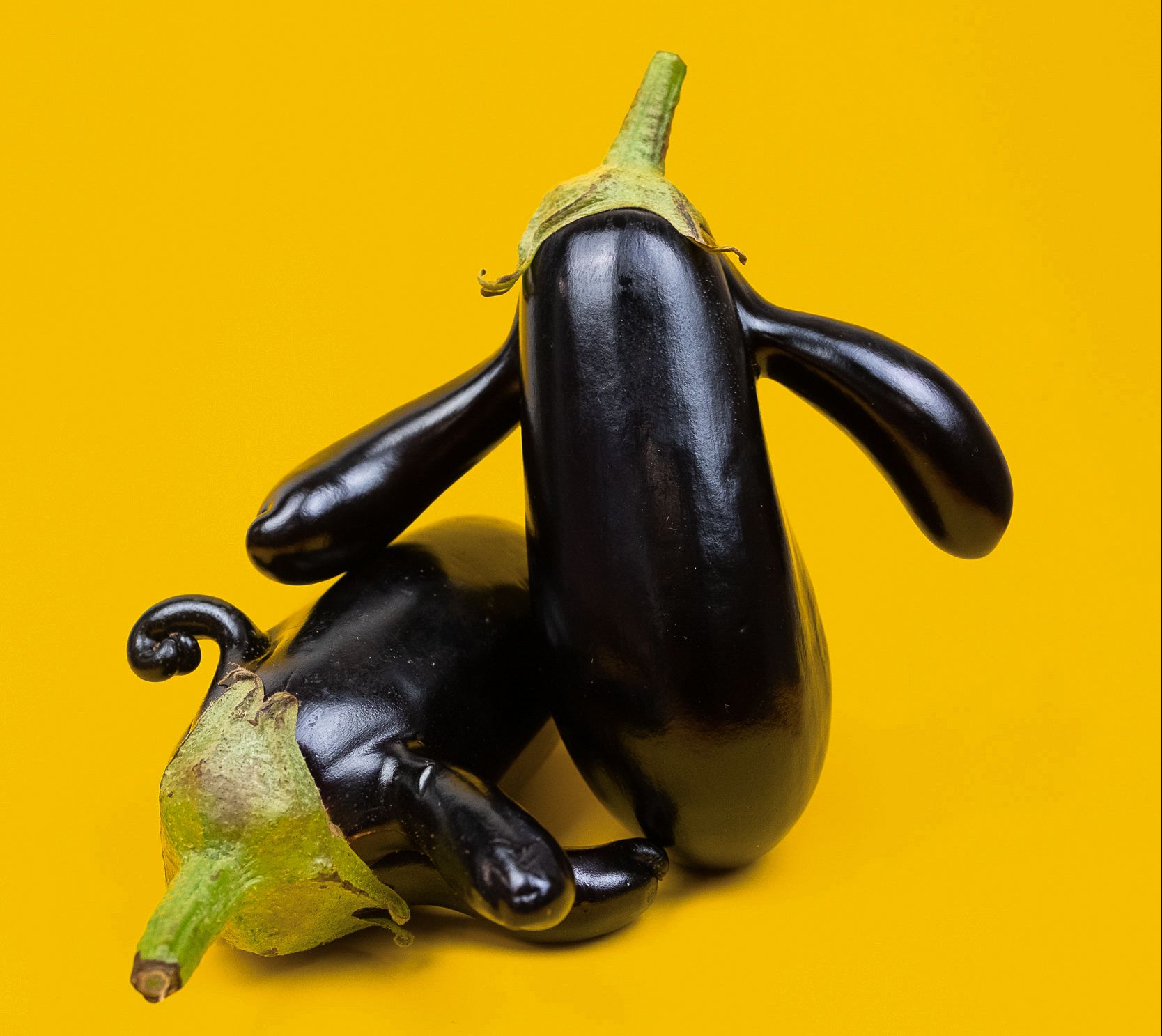 Aubergine on yellow background