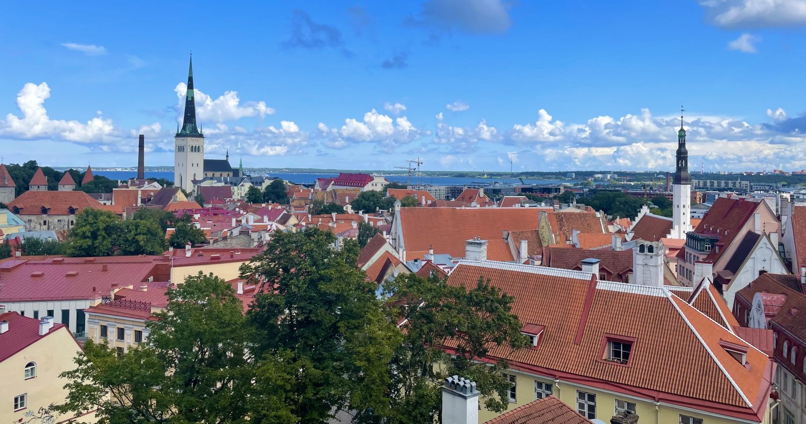 Tallinn’s rooftops seen from the Kohtuotsa Viewing Point.