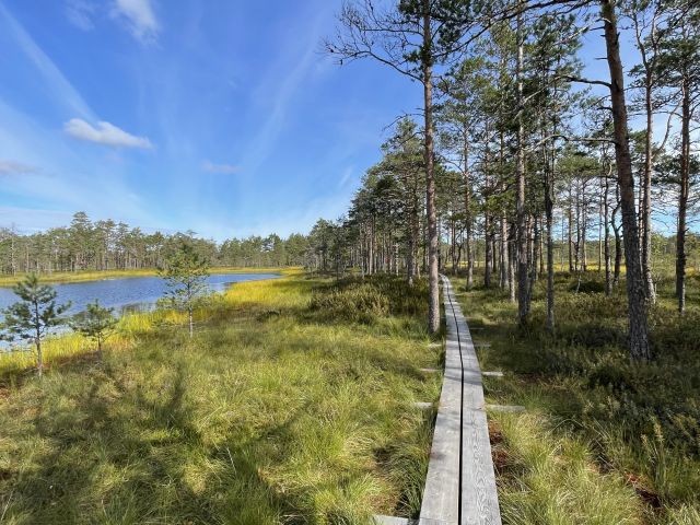 nature and lake