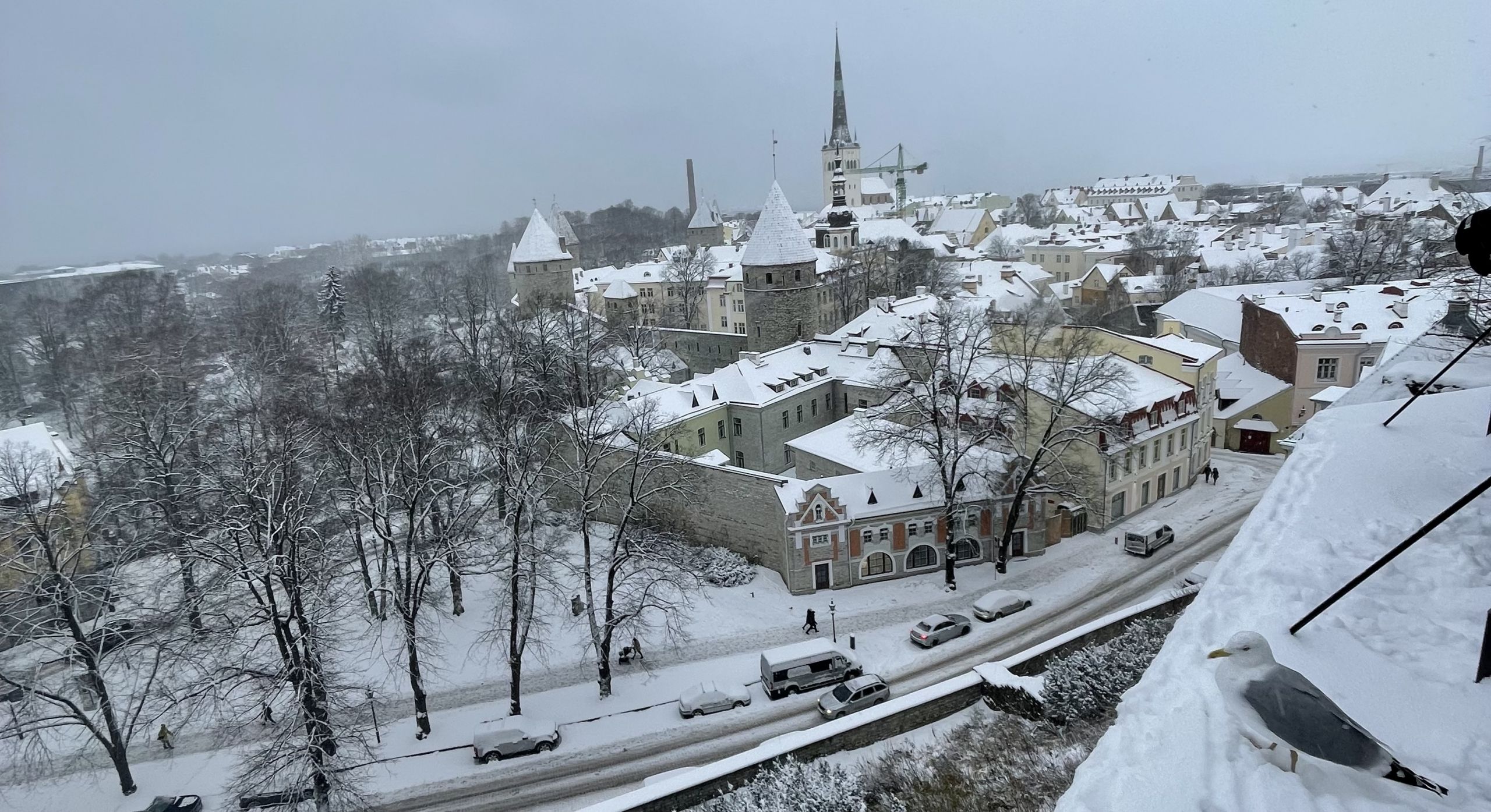 The view over a snowy Tallinn in December 2021.